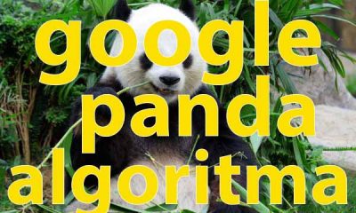 google panda algoritma